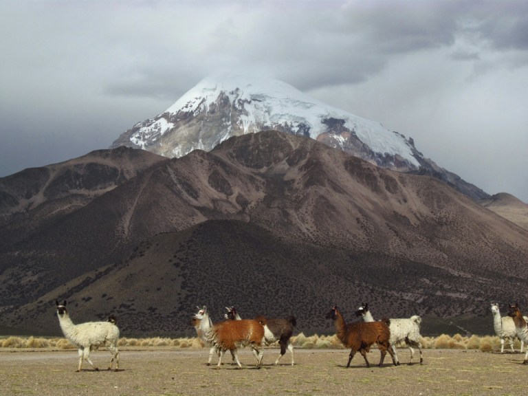 Compliqué de se rendre à Sajama, mais un village mémorable. 