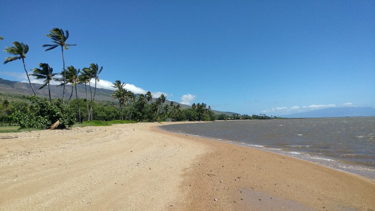 beach hawai