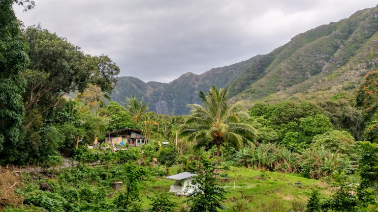 halawa valley